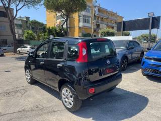 FIAT Panda usata, con Alzacristalli elettrici