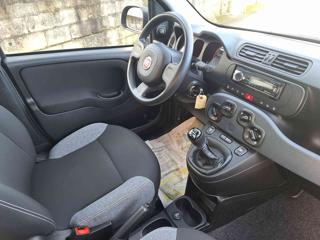 FIAT Panda usata 13