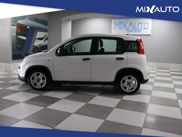 FIAT Panda usata, con Airbag Passeggero