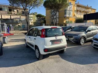 FIAT Panda usata, con Alzacristalli elettrici