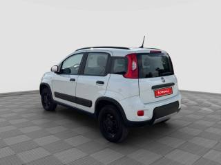 FIAT Panda usata 2