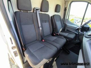 FORD  usata 14