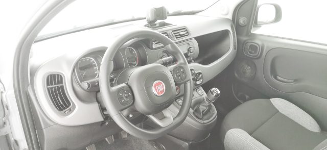 FIAT Panda usata 56