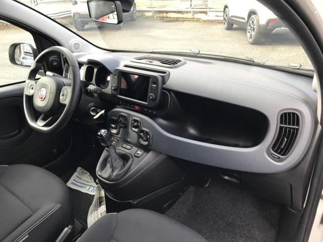 FIAT Panda Cross usata, con Controllo trazione