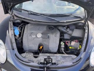 VOLKSWAGEN New Beetle usata, con Bracciolo