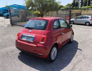 FIAT 500 usata 3