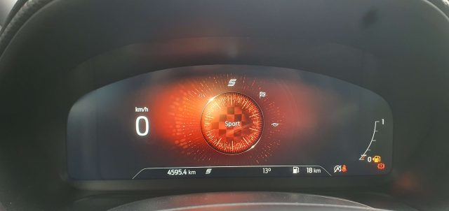 FORD Puma usata, con Sedile posteriore sdoppiato