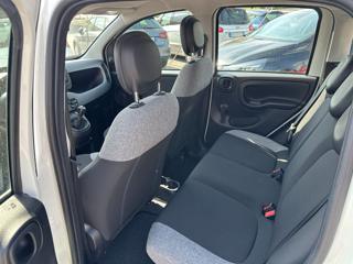 FIAT Panda usata, con Cronologia tagliandi