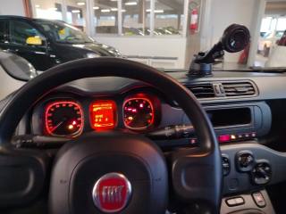 FIAT Panda usata 23