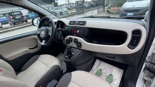 FIAT New Panda usata, con Airbag testa