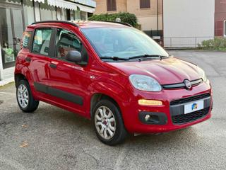 FIAT Panda usata, con Airbag Passeggero