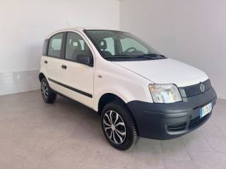 FIAT Panda usata 1