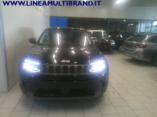 JEEP Avenger usata, con Volante in pelle