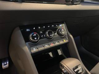 SKODA Karoq usata, con Fendinebbia