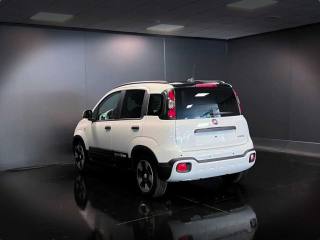 FIAT Panda usata, con Cruise Control