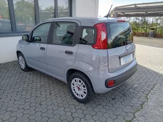 FIAT Panda usata, con Climatizzatore