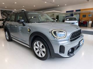 MINI Countryman usata, con Park Distance Control