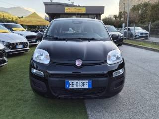 FIAT Panda usata, con Controllo trazione