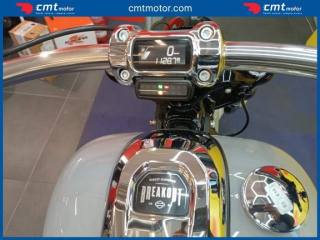 HARLEY-DAVIDSON Other usata 4