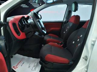 FIAT Panda usata 13