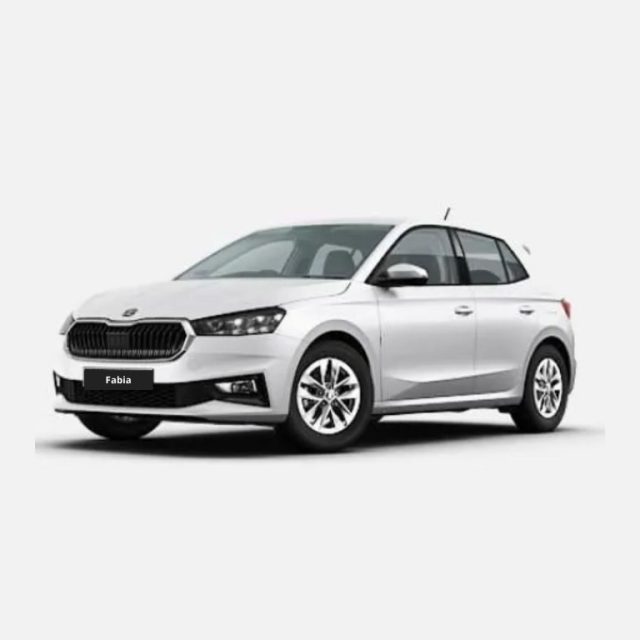 SKODA Fabia usata, con ABS