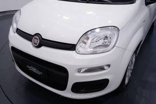 FIAT New Panda usata 20
