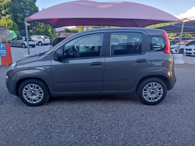 FIAT Panda usata, con Alzacristalli elettrici