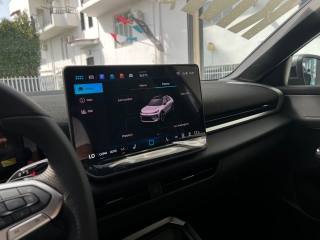VOLKSWAGEN T-Roc usata, con Controllo vocale
