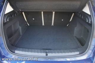 BMW X1 usata, con Filtro antiparticolato