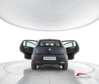 FIAT Punto Evo usata 6