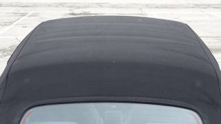 VOLKSWAGEN New Beetle usata 43