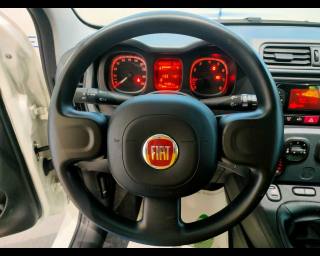 FIAT New Panda usata, con Assistente abbaglianti