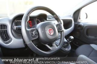 FIAT Panda usata 11