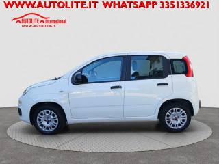 FIAT Panda usata, con Airbag Passeggero