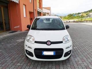 FIAT Panda usata, con Controllo trazione