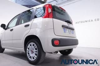 FIAT Panda usata 34