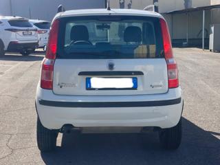 FIAT Panda usata 13