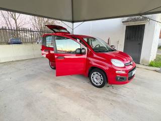 FIAT Panda usata 41