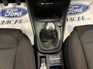 FORD Puma usata, con Vetri oscurati