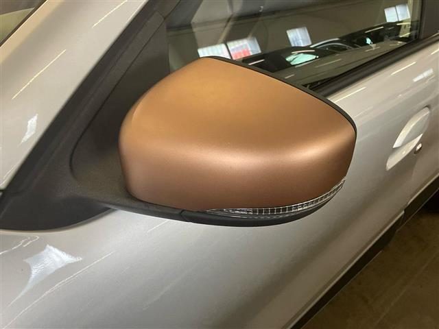 DACIA Spring usata 24