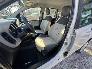 FIAT Panda usata, con Chiusura centralizzata