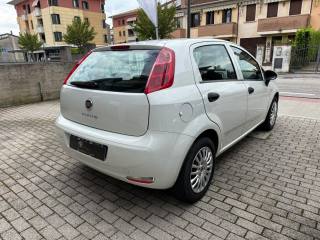 FIAT Punto usata, con Airbag testa