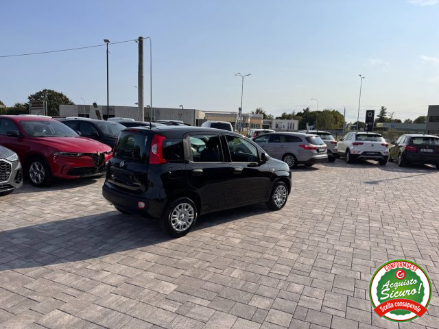 FIAT Panda usata, con Controllo trazione