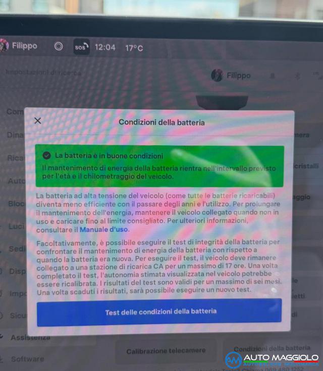 TESLA Model 3 usata, con ESP