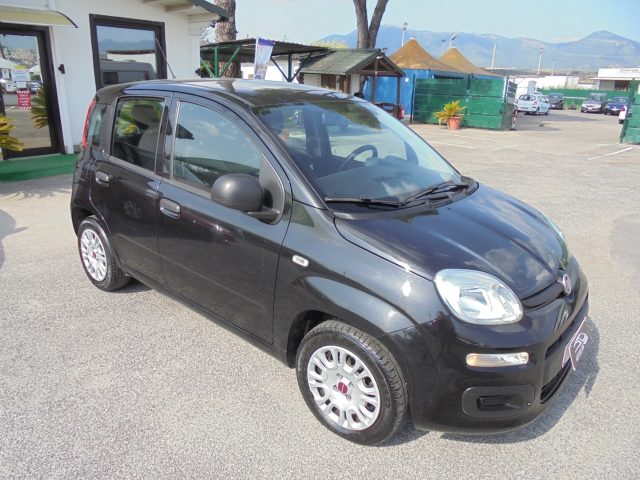 FIAT Panda usata 13