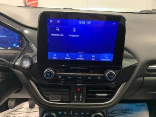 FORD Puma usata, con Cronologia tagliandi