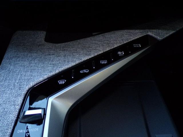 PEUGEOT 3008 usata 76