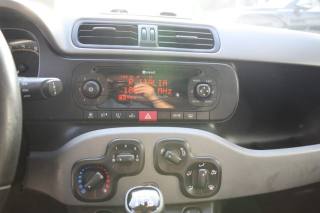 FIAT Panda usata, con Fendinebbia