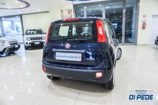 FIAT Panda usata, con Alzacristalli elettrici