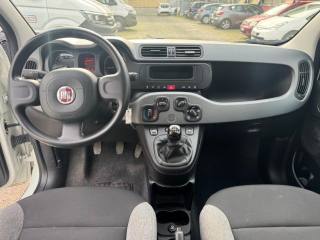 FIAT Panda usata, con Controllo trazione